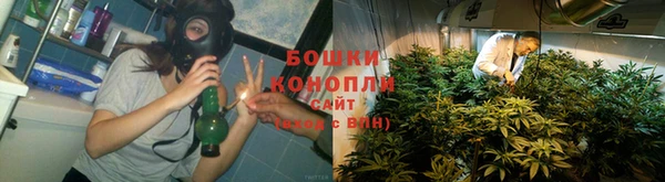 ALPHA PVP Новозыбков