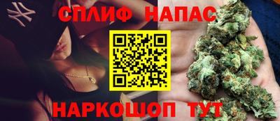 гидропоника Гагарин