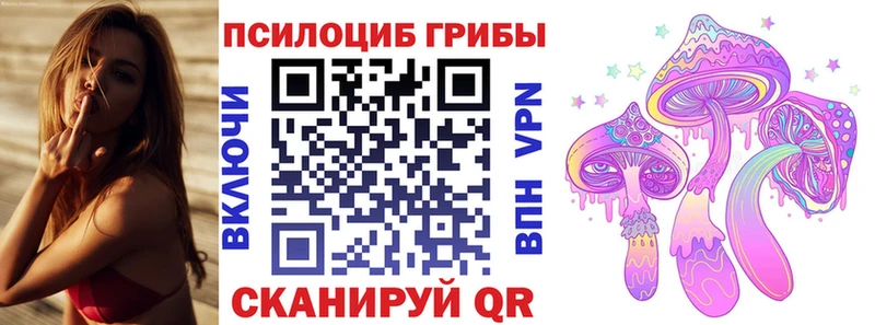 Псилоцибиновые грибы Cubensis Кропоткин