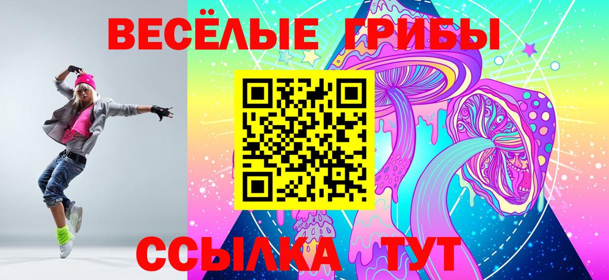 Галлюциногенные грибы Psilocybe  Кропоткин 